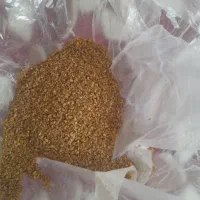 بذر