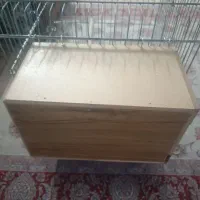 قفس عروس هلندی|لوازم جانبی حیوانات|تهران, تهرانسر مرکزی|دیوار