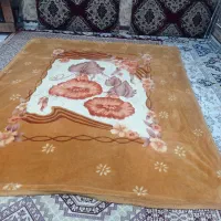 پتوگلبافت خارجی