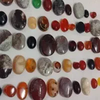 نگین شجر مفت