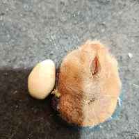 سنگ عقیق قدیمی