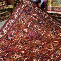 فرش ۶ متری بختیاری