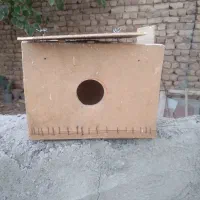 قفس پرنده|لوازم جانبی حیوانات|ساوه, |دیوار