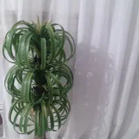 سلام  گل مصنوعی