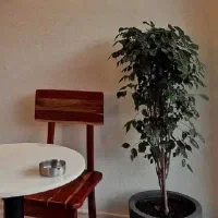 همکار با شاگرد