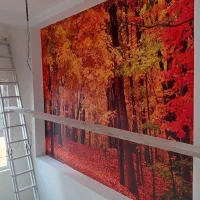 کاغذدیواری حراجی ونصب کاغذدیواری -پخش پرده زبرا|خدمات پیشه و مهارت|فردیس, فردیس|دیوار