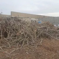 کارگرساده خانوم نیازمندم