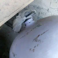 کپسول گاز سی آن جی|قطعات یدکی و لوازم جانبی|بجنورد, |دیوار