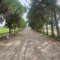 باغچه / فنسکشی/درب/درخت/آبیاری قطره ای حسن آباد