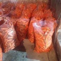 شستن خرید فروش