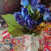 چند عدد وسیله|ظروف سرو و پذیرایی|سبزوار, رضوی|دیوار