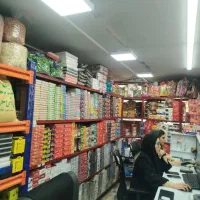 خانم جهت ثبت فاکتور وثبت در سامانه و صندوق داری