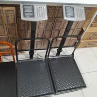 باسکول چینی (ترازو)|فروشگاه و مغازه|کرج, جهانشهر|دیوار