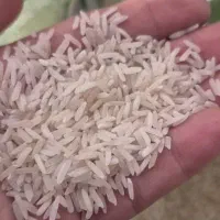 پخش عمده برنج پاکستانی غزال سبز|خوردنی و آشامیدنی|کرمان, |دیوار