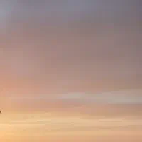 حتما ببین کسب درآمد