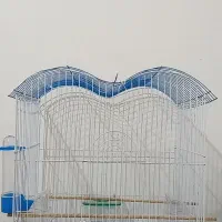 به فروش میرسد