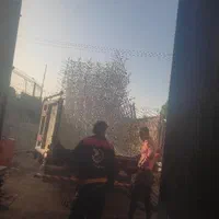 حفاظ دیوار نرده سه شاخ حفاظ روی دیوار بوته ای|خدمات پیشه و مهارت|مشهد, الهیه|دیوار