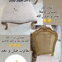 پاکان تجهیز تهران ( مبلشویی و قالیشویی در منزل )|خدمات نظافت|ری, دولت‌آباد|دیوار