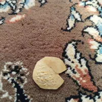 سکه قدیمی طلا|جواهرات|زنده رود, |دیوار