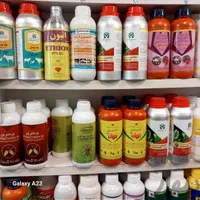 سم پاشی.سمپاشی|خدمات باغبانی و درختکاری|خرم‌آباد, |دیوار