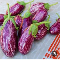 بادمجان لایرشیرین گوشتی
