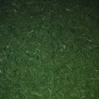 فروش سبزی خشک|خوردنی و آشامیدنی|نهاوند, |دیوار