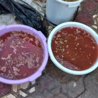 چه ل توک