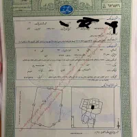 فروش زمین ۲۶۲ متری کوهستان بالا