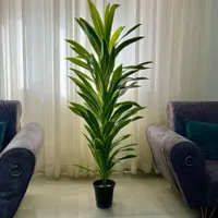 درختچه مصنوعی|گل مصنوعی|رشت, رودباری|دیوار