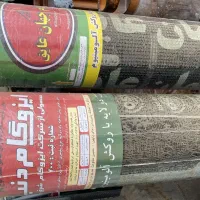 ایزوگام شرق دنیا