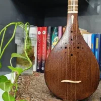 آموزش خصوصی سه تار و تمبک