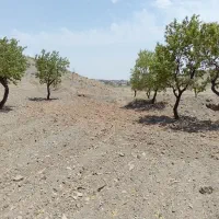 سه هزار متر زمین|فروش زمین و ملک کلنگی|سبزوار, کراب|دیوار