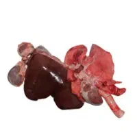 جیگر ،دنبه،کله پاچه.والایشات گوسفند وگاو|خوردنی و آشامیدنی|گالیکش, |دیوار