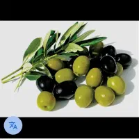 زیتون سنتی گوشتی شکسته شمال
