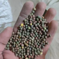 فروش حدودا 30تا40کیلو ماشک علوفه ایی