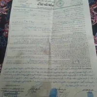 دو قطعه زمین در تلوری جنب پتو بافی