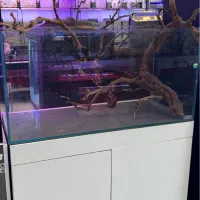 آکواریوم ریملس قیمت ۱۵