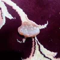 سنگ قیمتی|بدلیجات|خواف, |دیوار