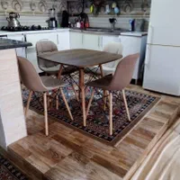 میز و صندلی ناهارخوری روزمد