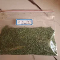 سبزی خشک و قرمه سبزی سرخ شده|خوردنی و آشامیدنی|تهران, تهرانسر مرکزی|دیوار