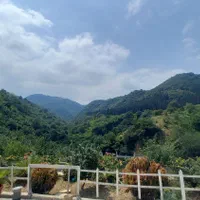 اجاره ویلا و خونه باغ جنگلی جایی دنج با ویو ابدی|اجارهٔ کوتاه‌مدت ویلا و باغ|بهشهر, |دیوار