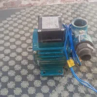 پوپ اب کوچیک درحد