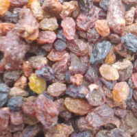 کشمش آبگیری