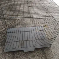 قفس فروشی فوری|لوازم جانبی حیوانات|گنبد کاووس, |دیوار