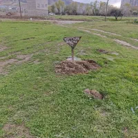 فروش-زمین