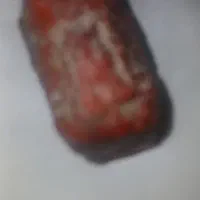 سنگ قیمتی وزینتی|کلکسیون اشیاء عتیقه|خرمآباد, |دیوار