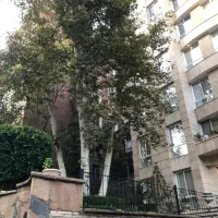 ۱۷۰ متر برج باغ اندرزگو‌ (نقشه بینظیر)|فروش آپارتمان|تهران, فرمانیه|دیوار