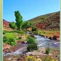 شدیداً به پول لازم هستیم