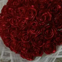 شیک پیک