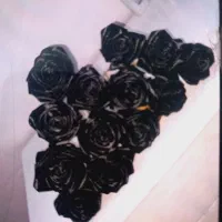 انواع گُل ربانی|گل مصنوعی|قم, سالاریه|دیوار